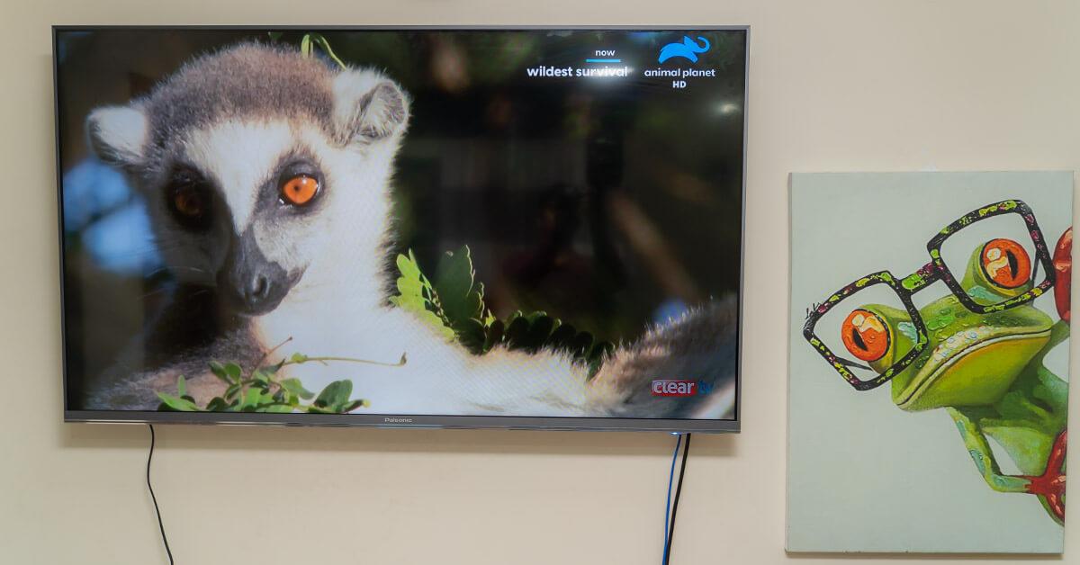 Palsonic 55QX7000 TV Review: Premium experience at a budget price!