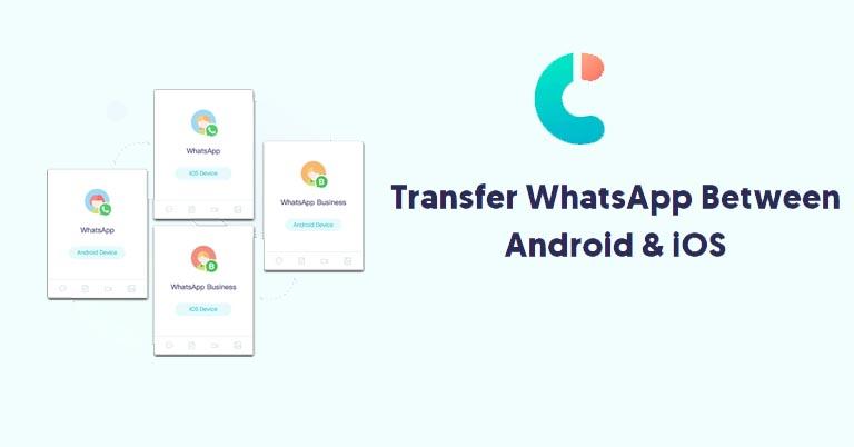 iCareFone Transfer: Transfer WhatsApp chats between iPhone and Android