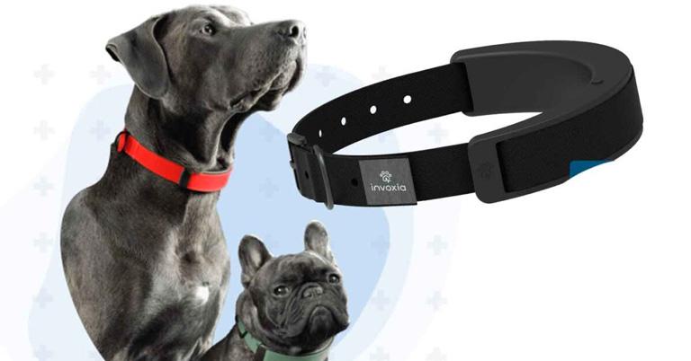 This AI smart collar will help you track your pets, monitor their health and much much more!