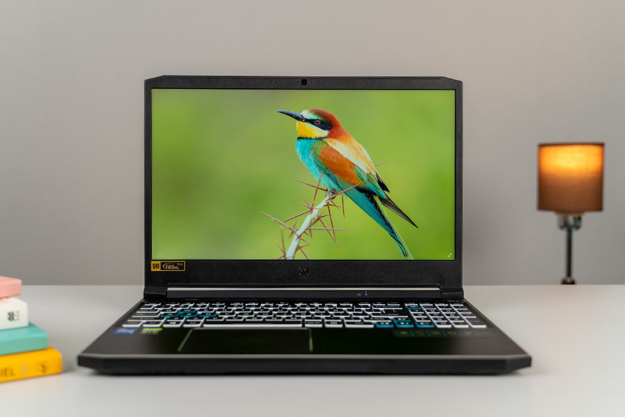 Acer Predator Helios 300 2021 - Display 1