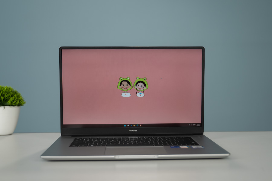 MateBook D15 Display -1