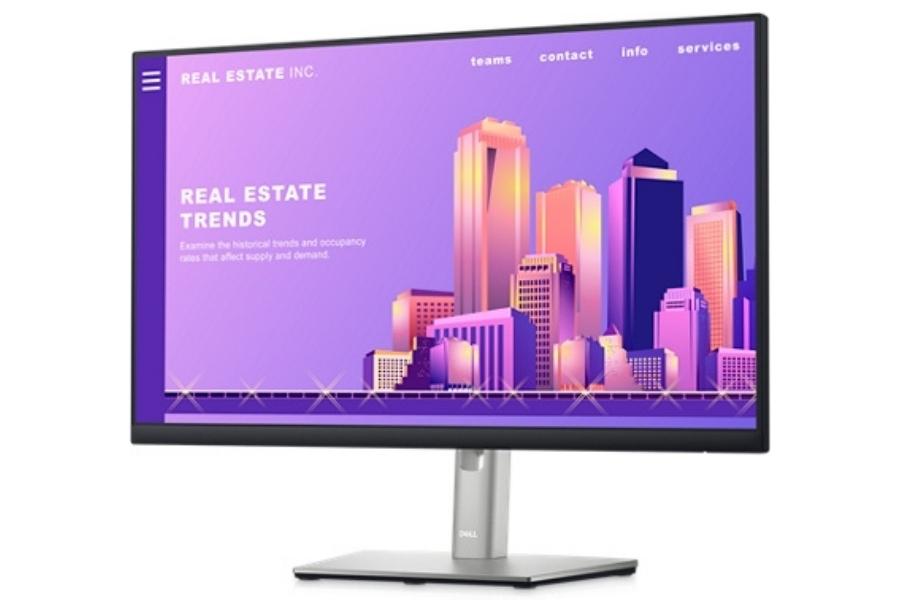 Dell 24 Monitor - P2422H