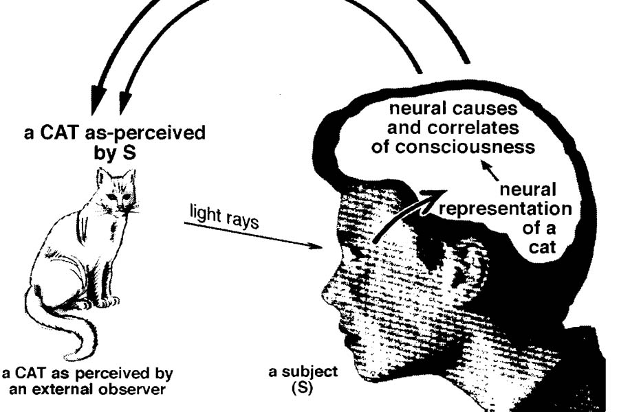 Consciousness